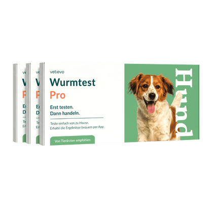 Vetevo Wurmtest Pro Hund – Zuverlässiger Kottest auf 7 Wurmarten &amp; Giardien, bequem von zu Hause - Woofshack