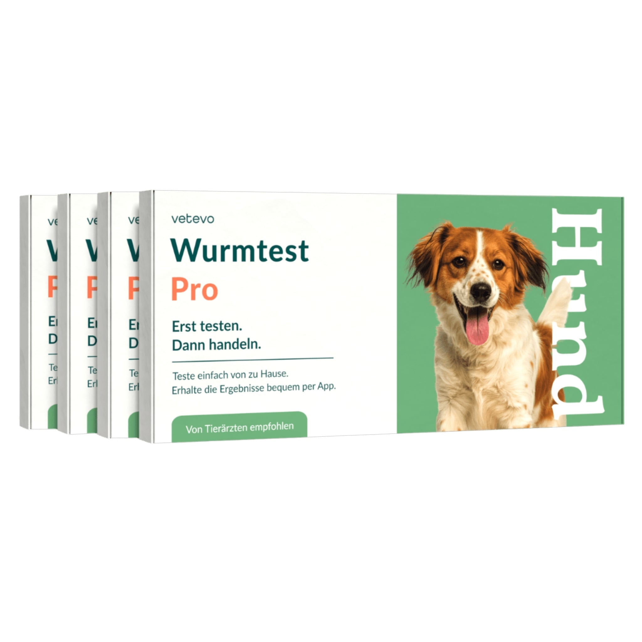 Vetevo Wurmtest Pro Hund – Zuverlässiger Kottest auf 7 Wurmarten &amp; Giardien, bequem von zu Hause - Woofshack