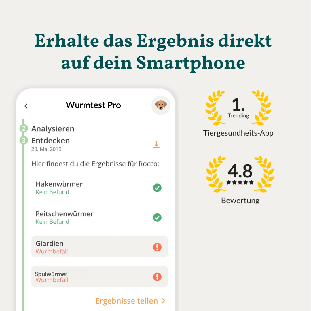 Vetevo Wurmtest Pro Hund – Zuverlässiger Kottest auf 7 Wurmarten &amp; Giardien, bequem von zu Hause - Woofshack