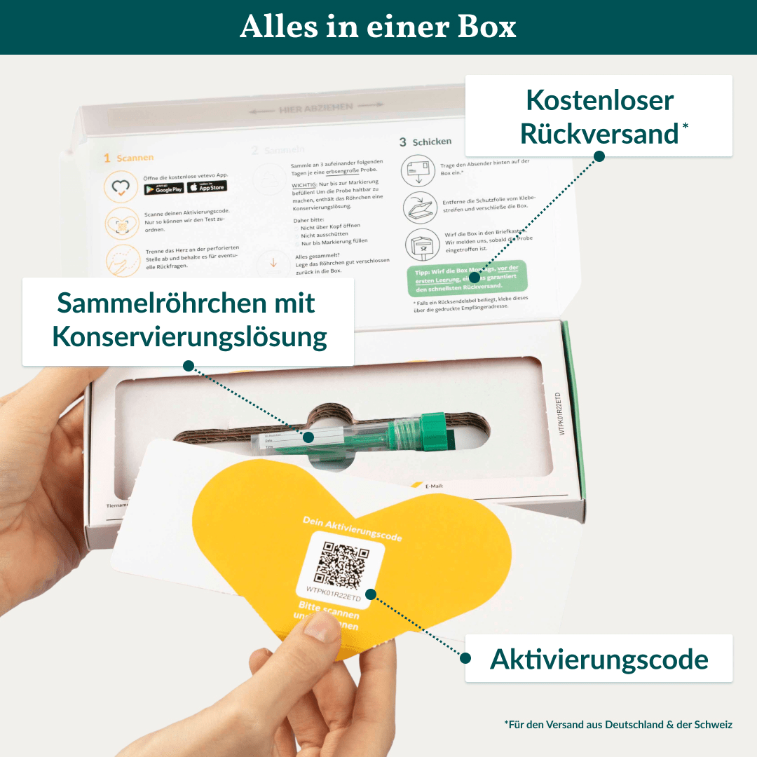 Vetevo Wurmtest Pro Hund – Zuverlässiger Kottest auf 7 Wurmarten &amp; Giardien, bequem von zu Hause - Woofshack