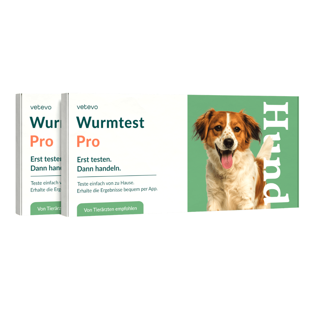 Vetevo Wurmtest Pro Hund – Zuverlässiger Kottest auf 7 Wurmarten &amp; Giardien, bequem von zu Hause - Woofshack