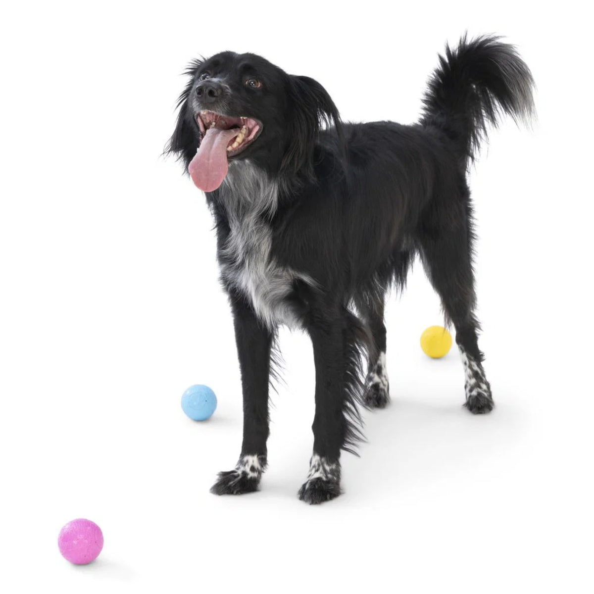 West Paw Zogoflex Boundr – Unzerstörbarer Hundeball für Apportierer, Wasserratten &amp; Kau-Enthusiasten | Spülmaschinenfest, schwimmfähig &amp; kompatibel mit Ballschleudern - Woofshack