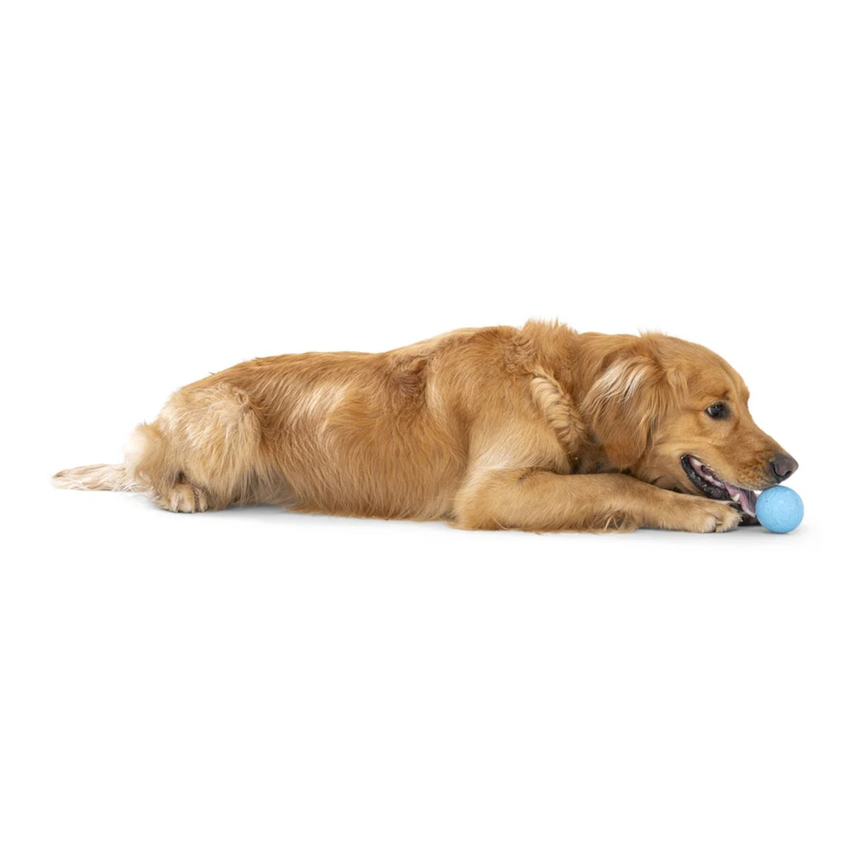 West Paw Zogoflex Boundr – Unzerstörbarer Hundeball für Apportierer, Wasserratten &amp; Kau-Enthusiasten | Spülmaschinenfest, schwimmfähig &amp; kompatibel mit Ballschleudern - Woofshack
