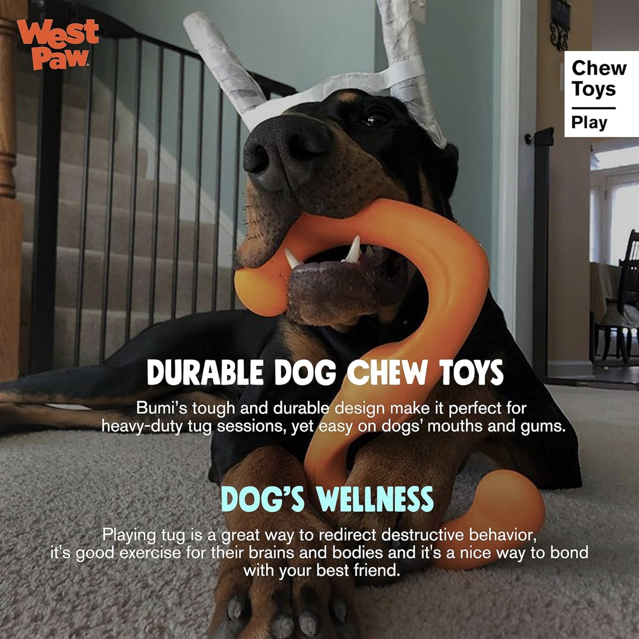 West Paw Zogoflex Bumi, Hundespielzeug - Woofshack