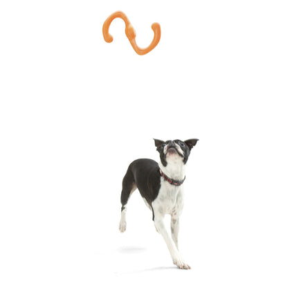 West Paw Zogoflex Bumi, Hundespielzeug - Woofshack