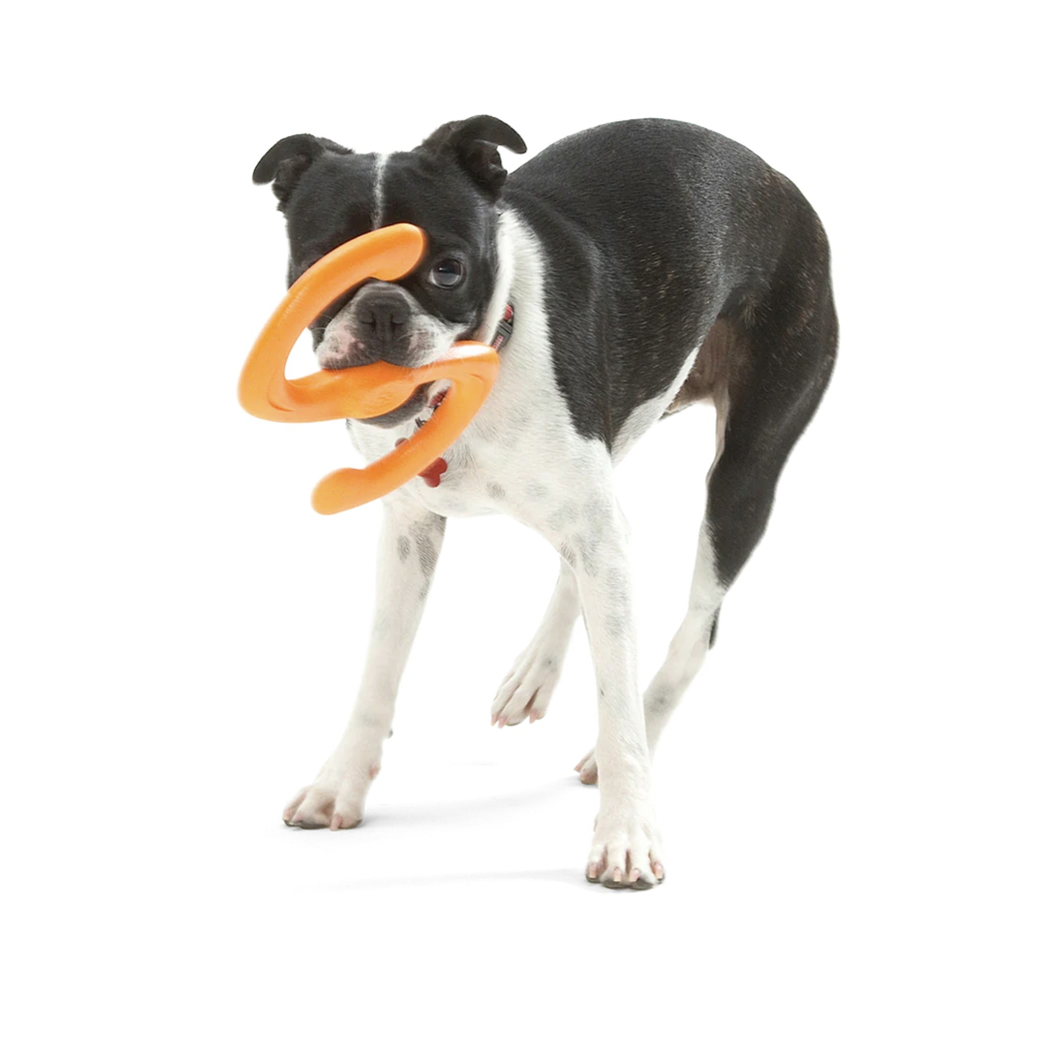 West Paw Zogoflex Bumi, Hundespielzeug - Woofshack