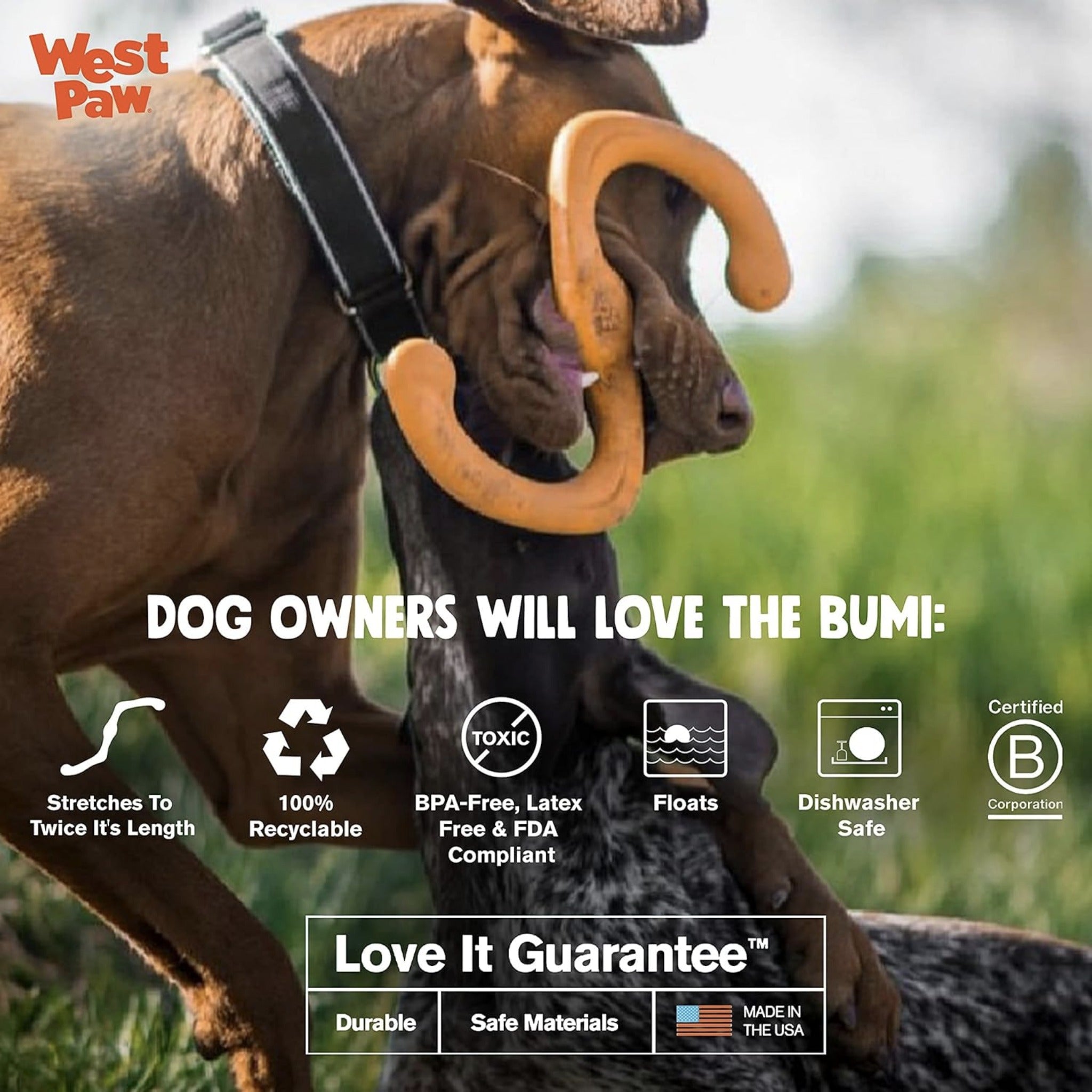 West Paw Zogoflex Bumi, Hundespielzeug - Woofshack