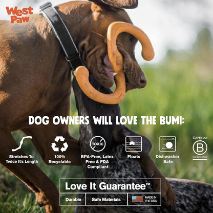 West Paw Zogoflex Bumi, Hundespielzeug - Woofshack