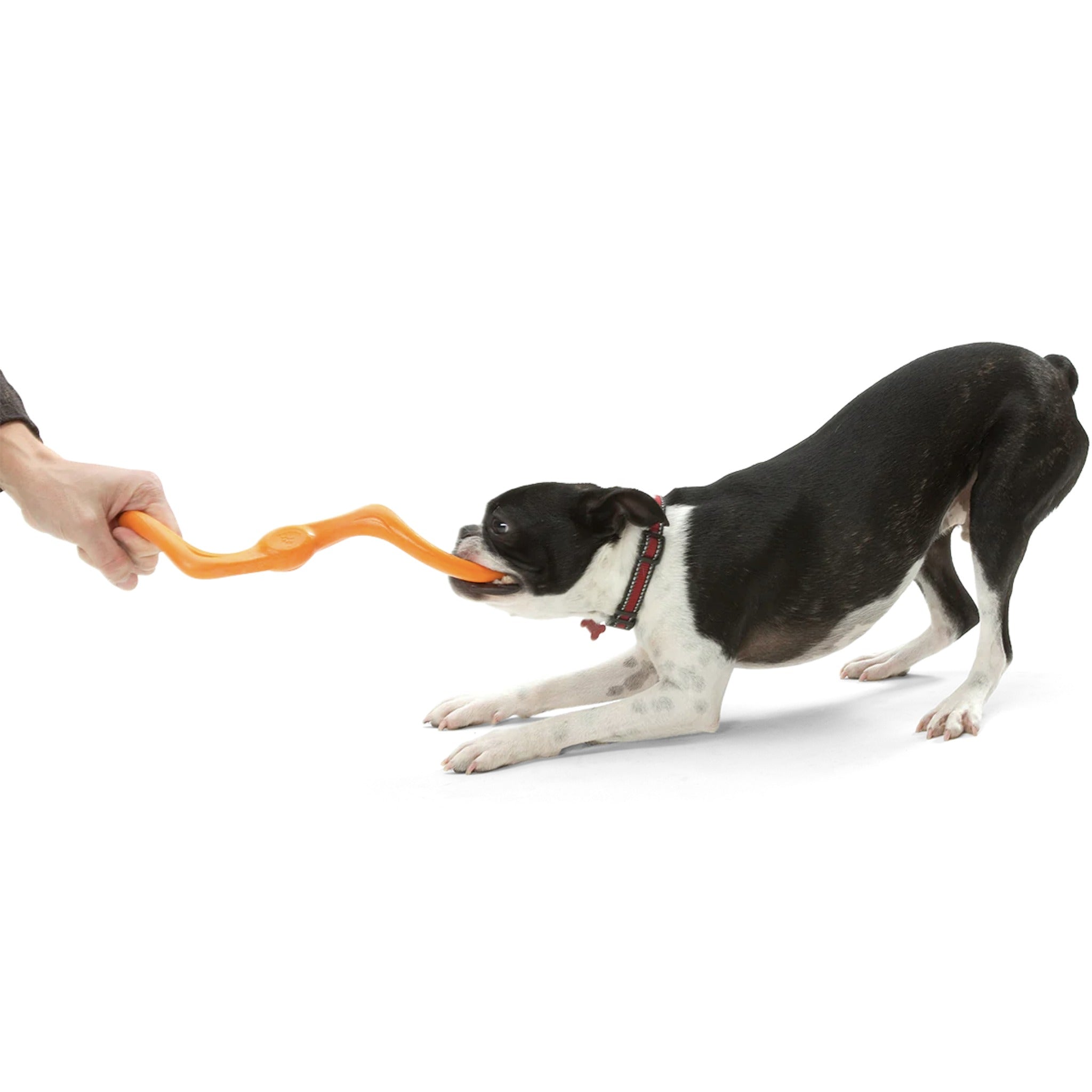 West Paw Zogoflex Bumi, Hundespielzeug - Woofshack