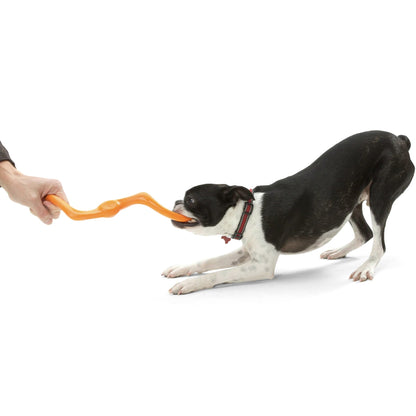 West Paw Zogoflex Bumi, Hundespielzeug - Woofshack