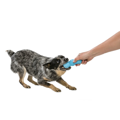 West Paw Zogoflex Rumpus, Hundespielzeug - Woofshack