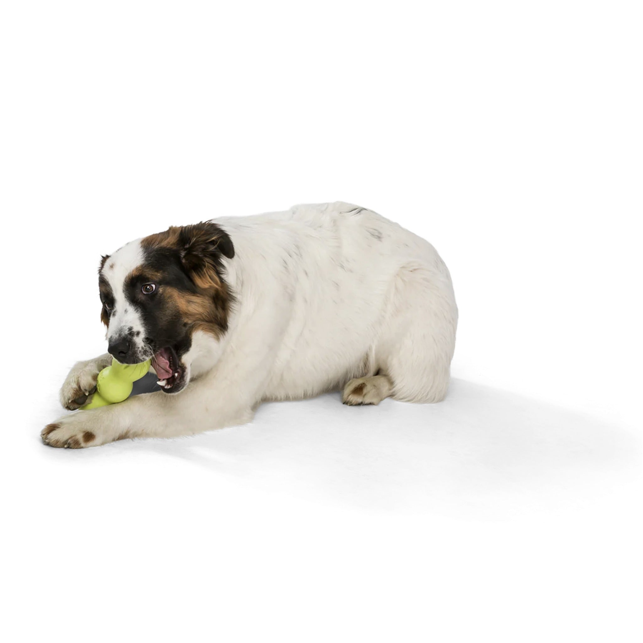West Paw Zogoflex Rumpus, Hundespielzeug - Woofshack
