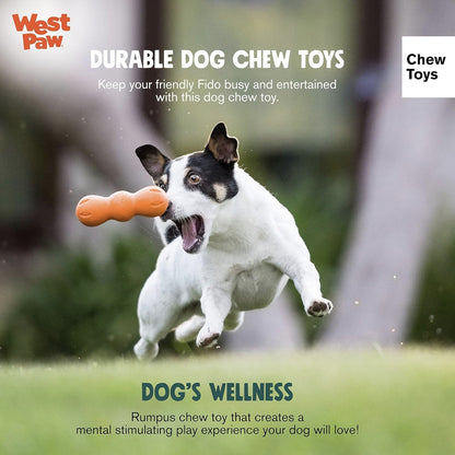 West Paw Zogoflex Rumpus, Hundespielzeug - Woofshack