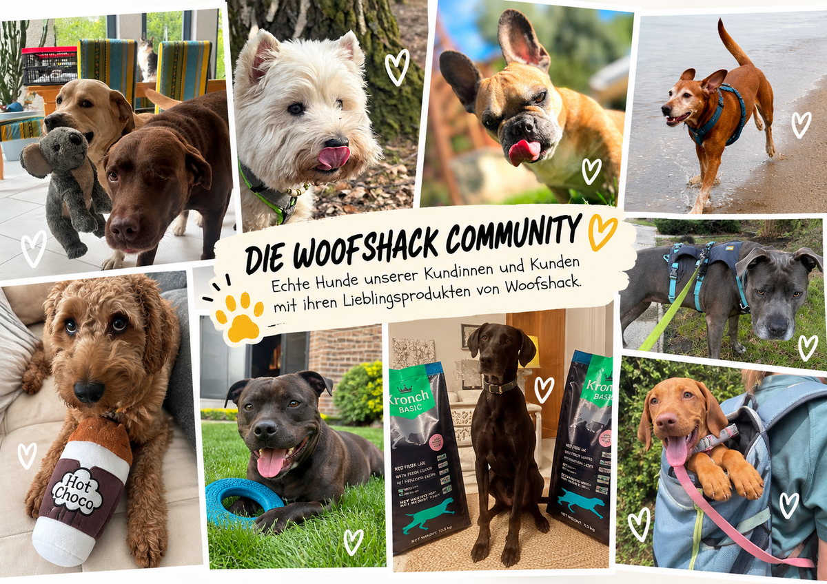 Echte Hunde von Woofshack Kunden mit ihren Lieblingsprodukten