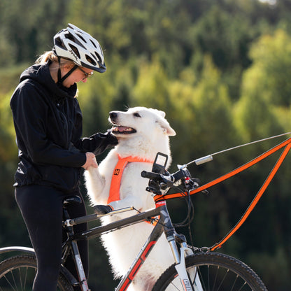 Bikejöring und Dogscooting Set - Woofshack