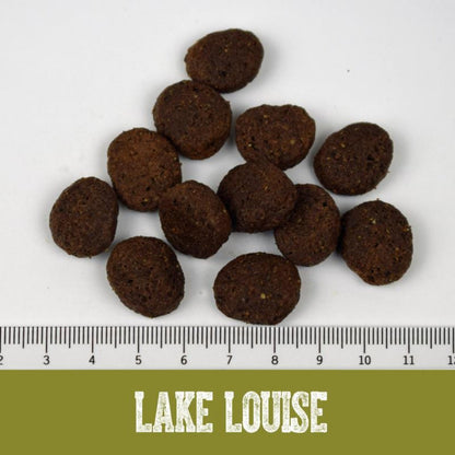 Black Canyon Lake Louise - Singleprotein Ente &amp; Süßkartoffel - Woofshack