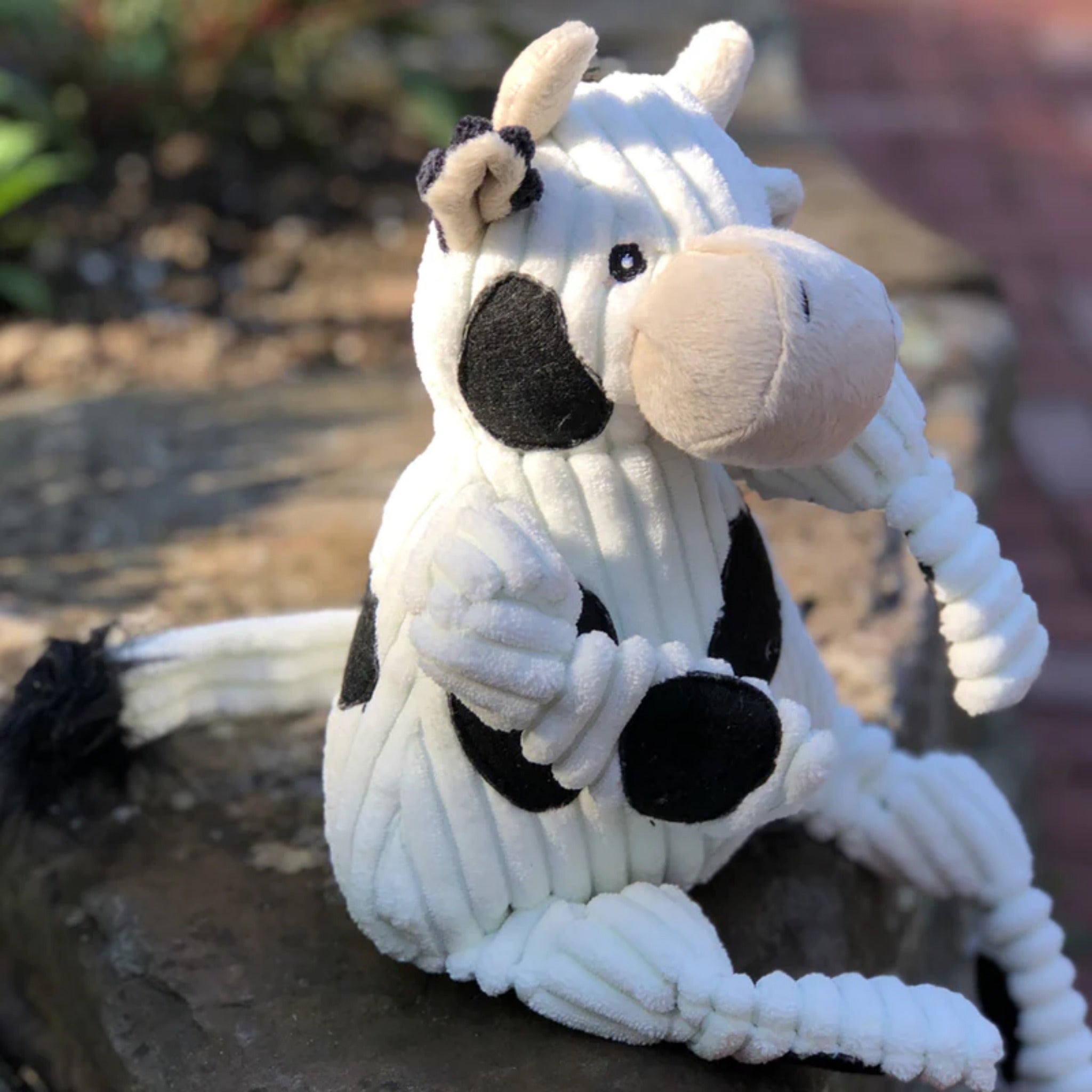 Hugglehounds Dottie Cow Knottie, Hundespielzeug - Woofshack
