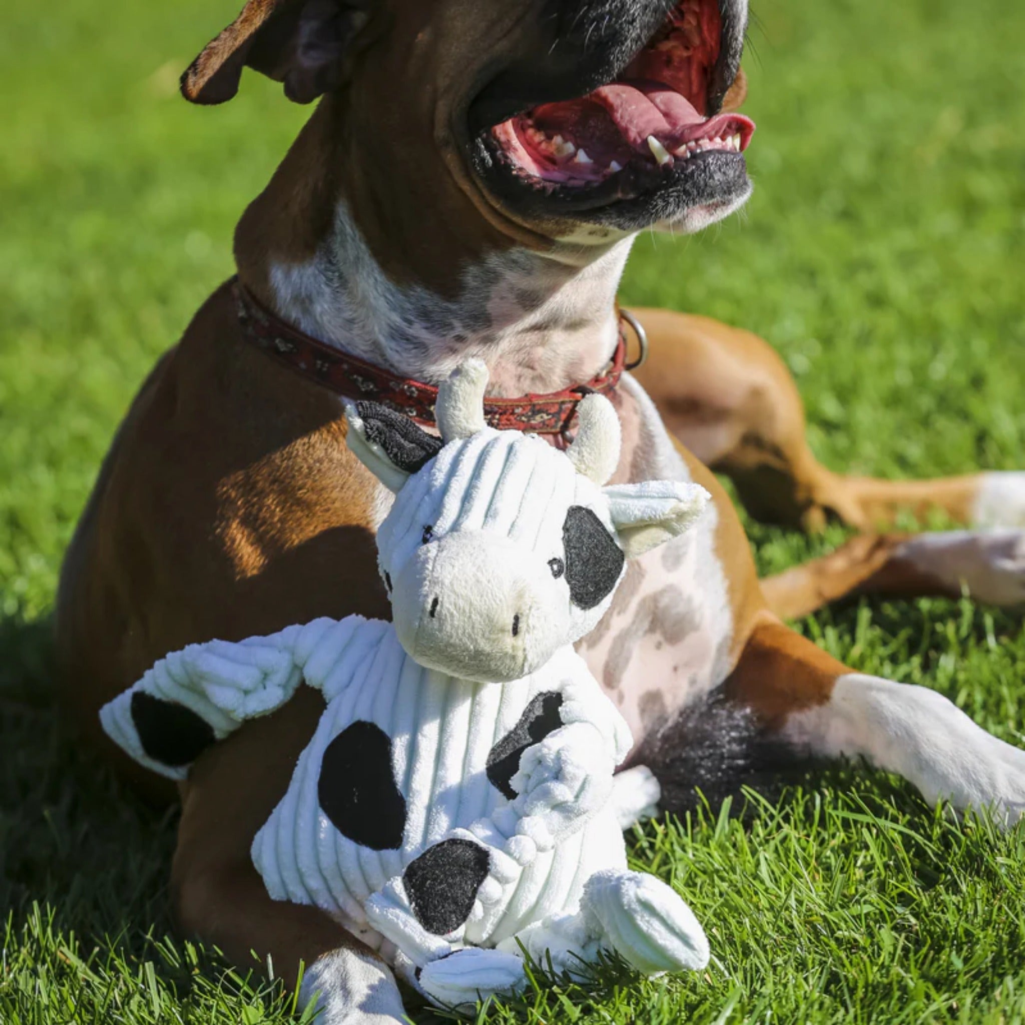 Hugglehounds Dottie Cow Knottie, Hundespielzeug - Woofshack