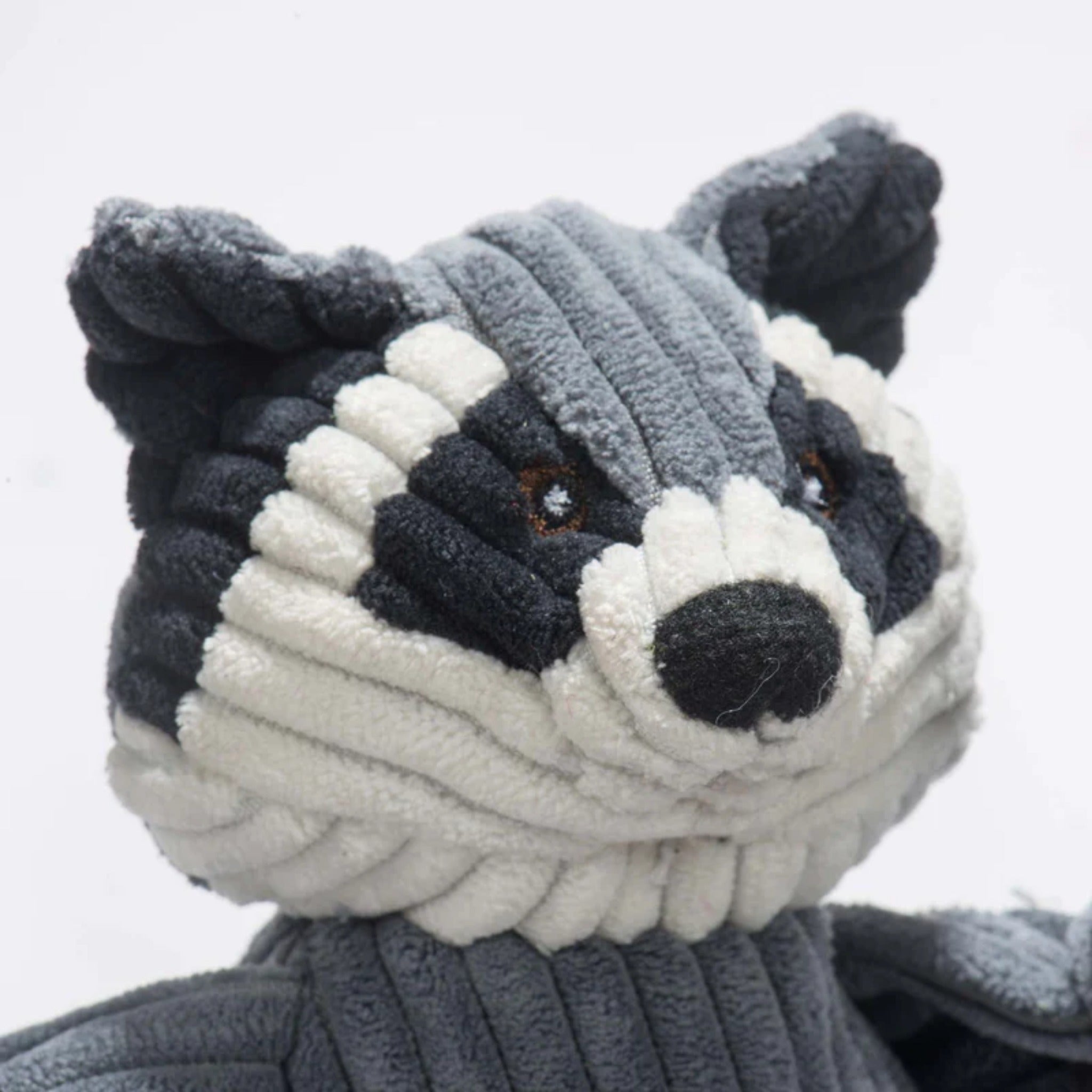 Hugglehounds Reggie Raccoon Knottie, Hundespielzeug - Woofshack