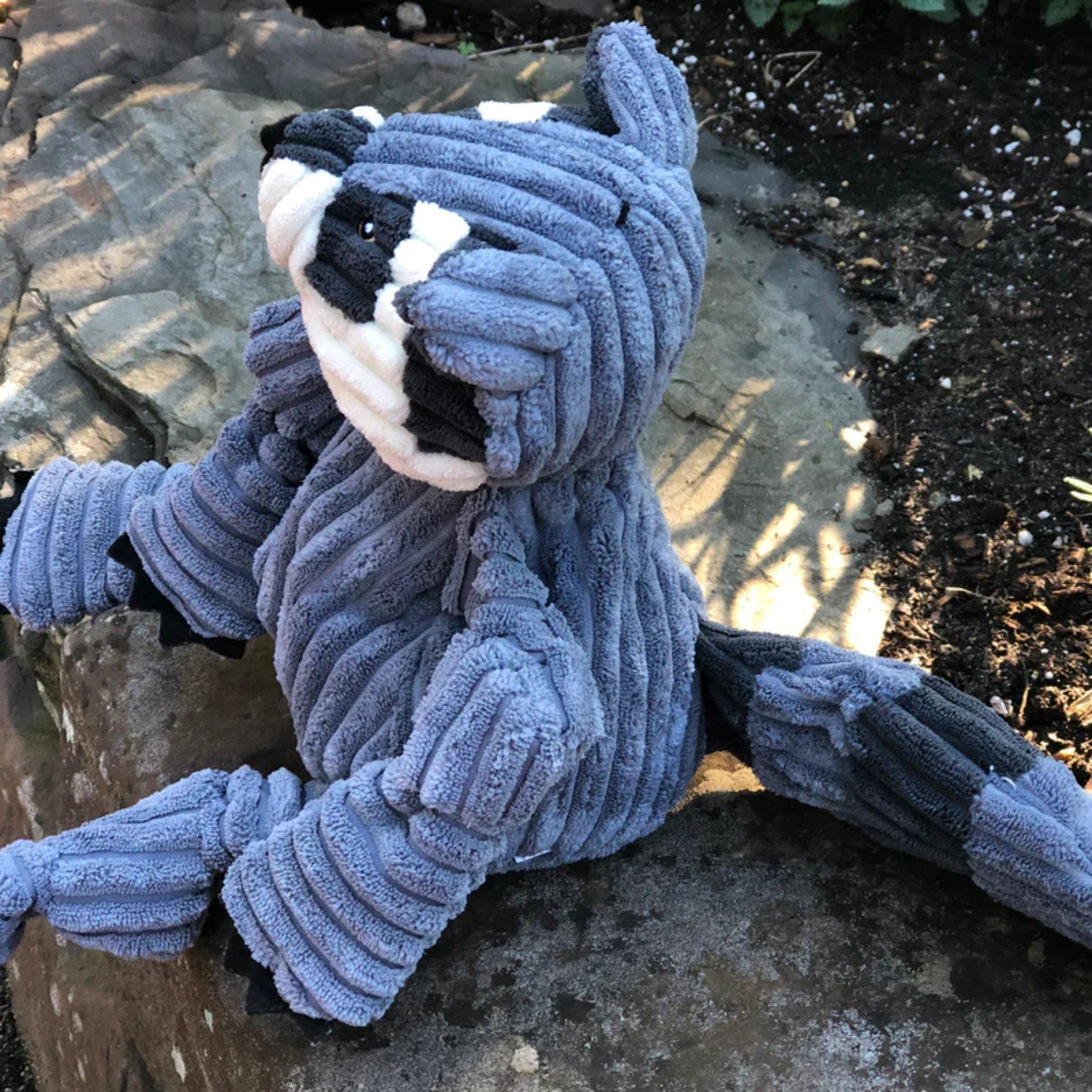 Hugglehounds Reggie Raccoon Knottie, Hundespielzeug - Woofshack