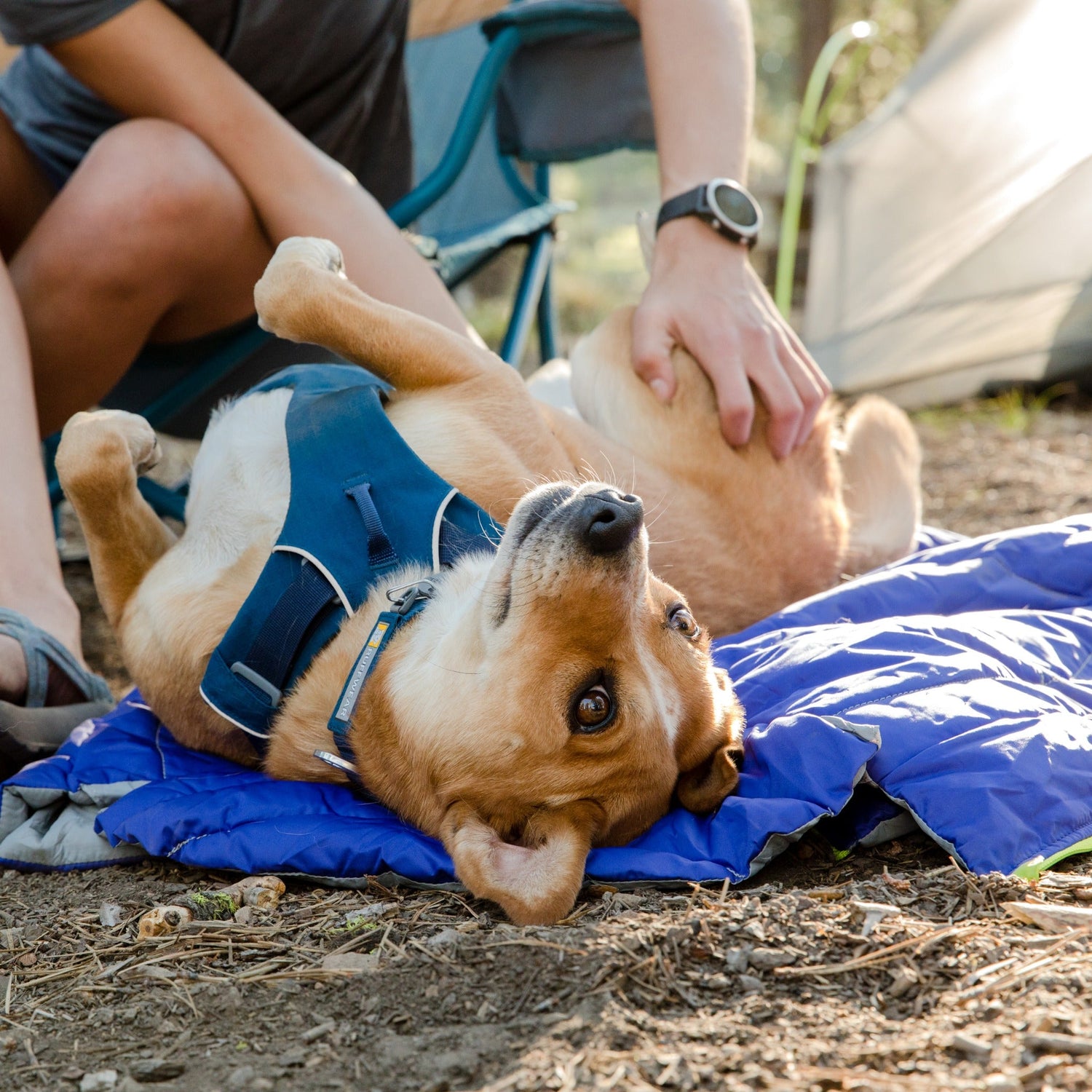 ruffwear schlafsack Ruffwear Highlands Sleeping Bag – Isolierter Hundeschlafsack