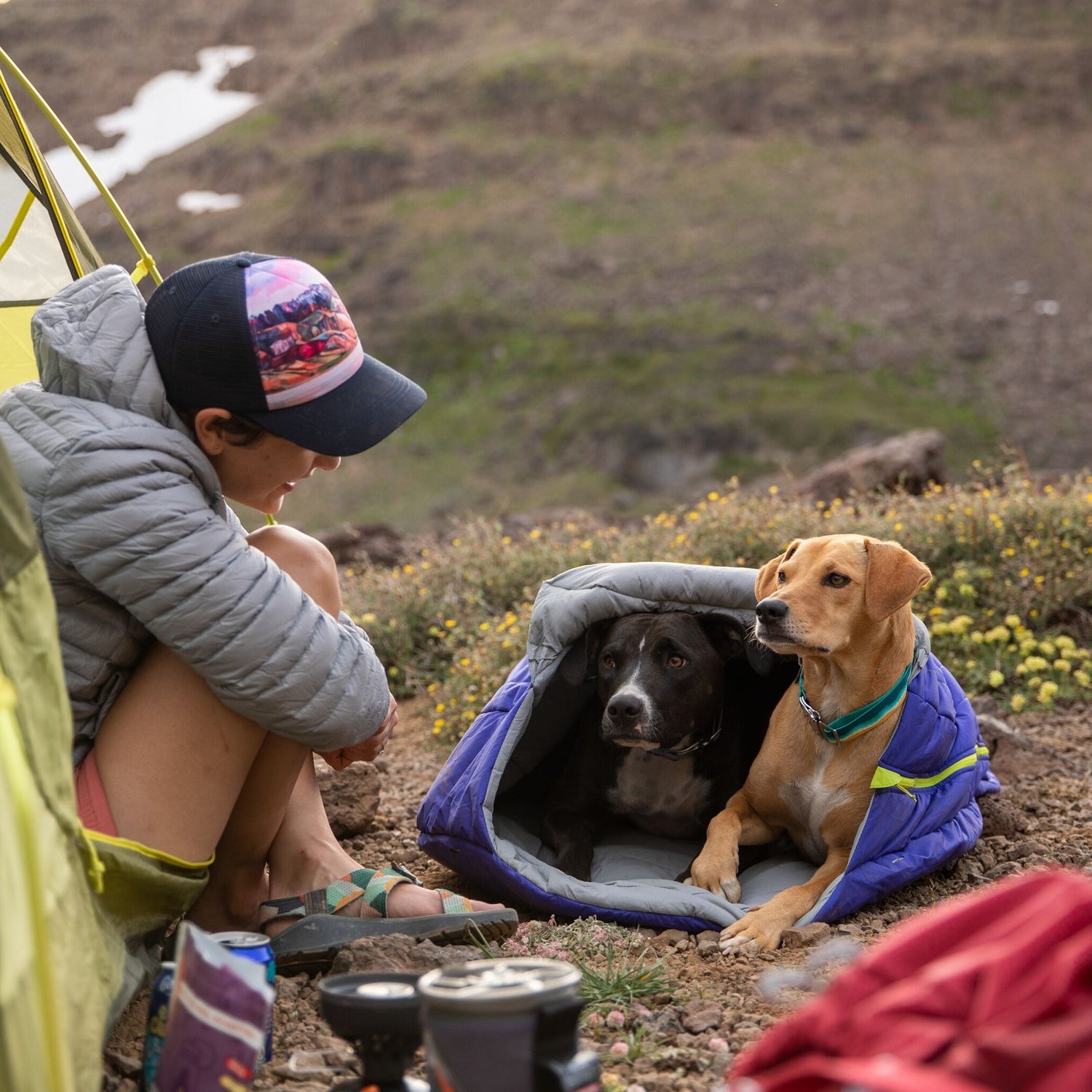 hunter schlafsack hund Ruffwear Highlands Sleeping Bag – Isolierter Hundeschlafsack