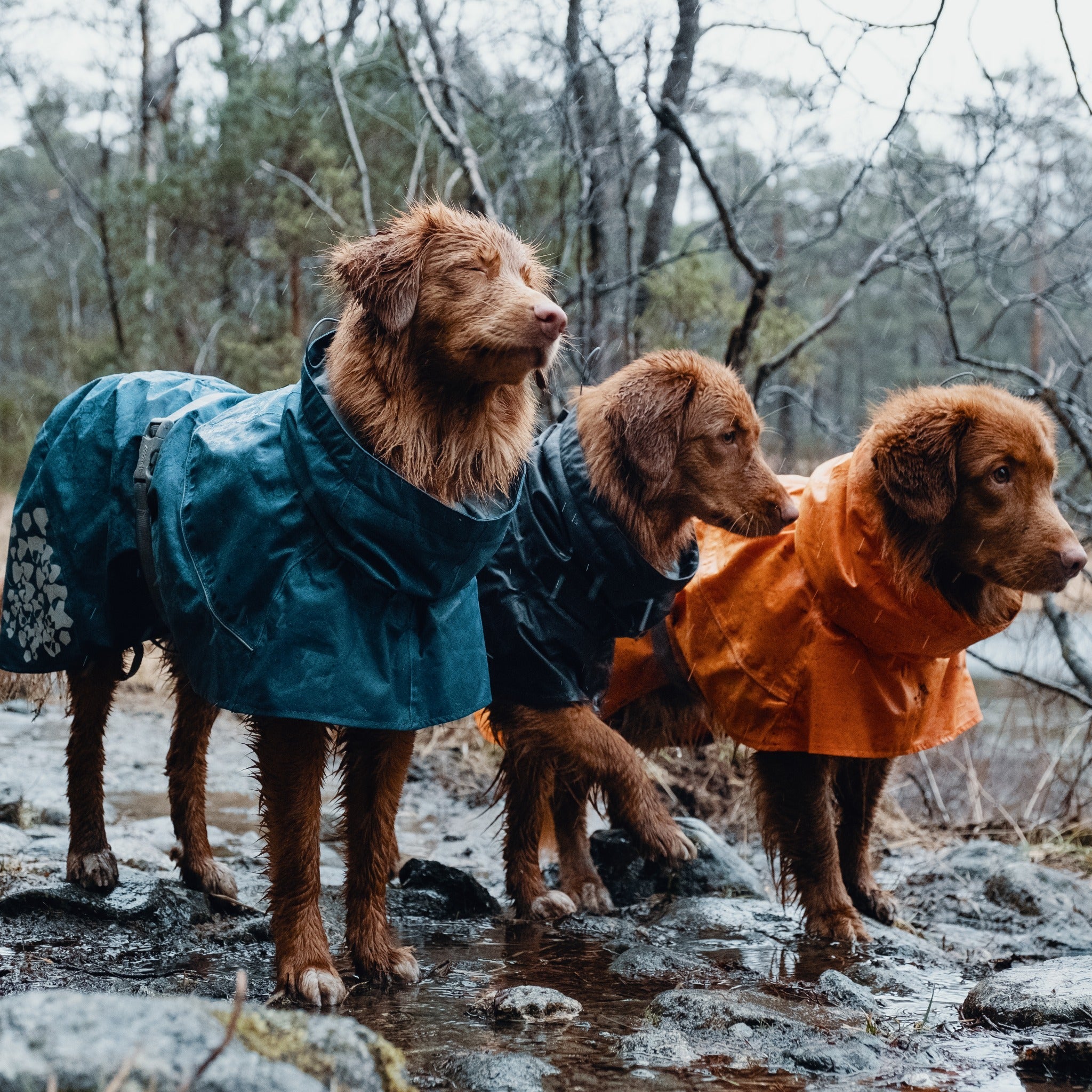Hurtta Monsoon Coat, Hundemantel - Woofshack