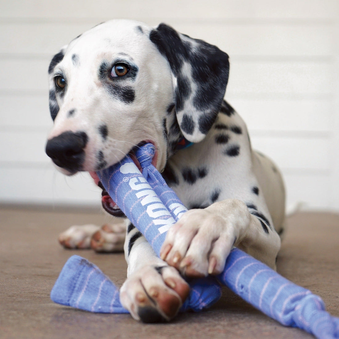 Kong Signature Crunch Rope Single Puppy, Welpenspielzeug - Woofshack