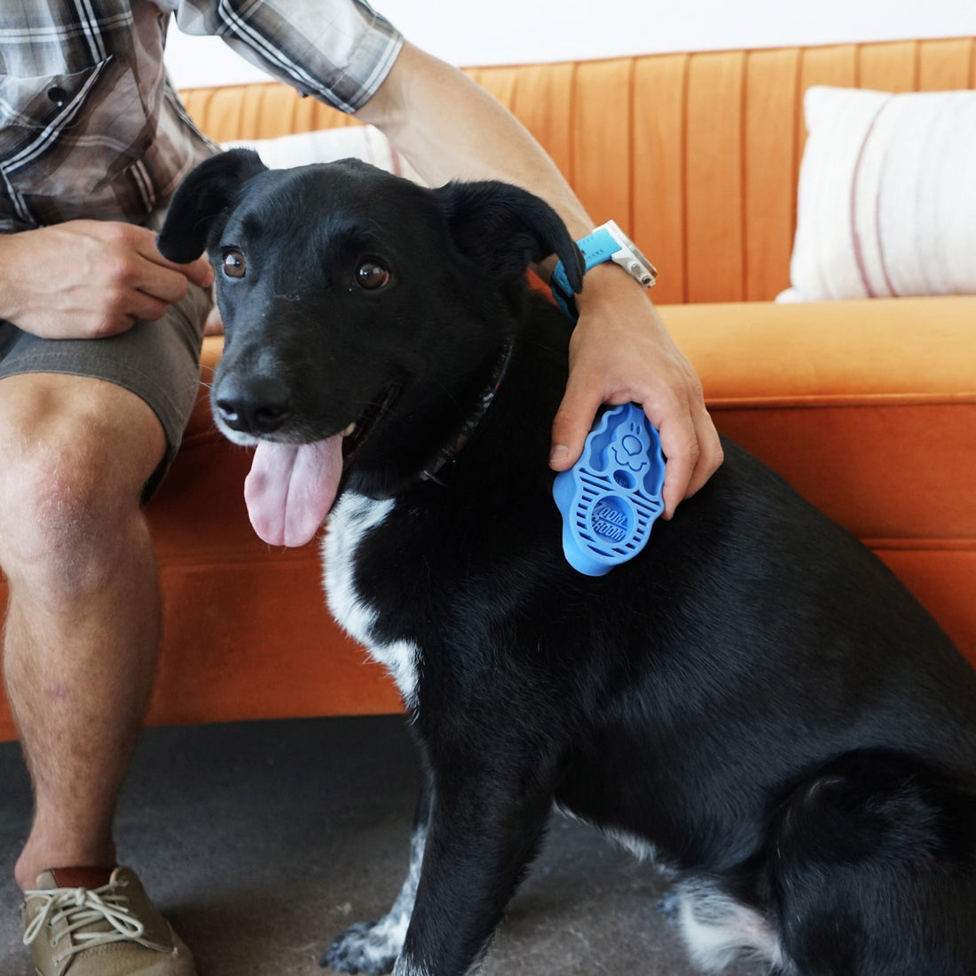 KONG ZoomGroom™ Hundebürste - Woofshack
