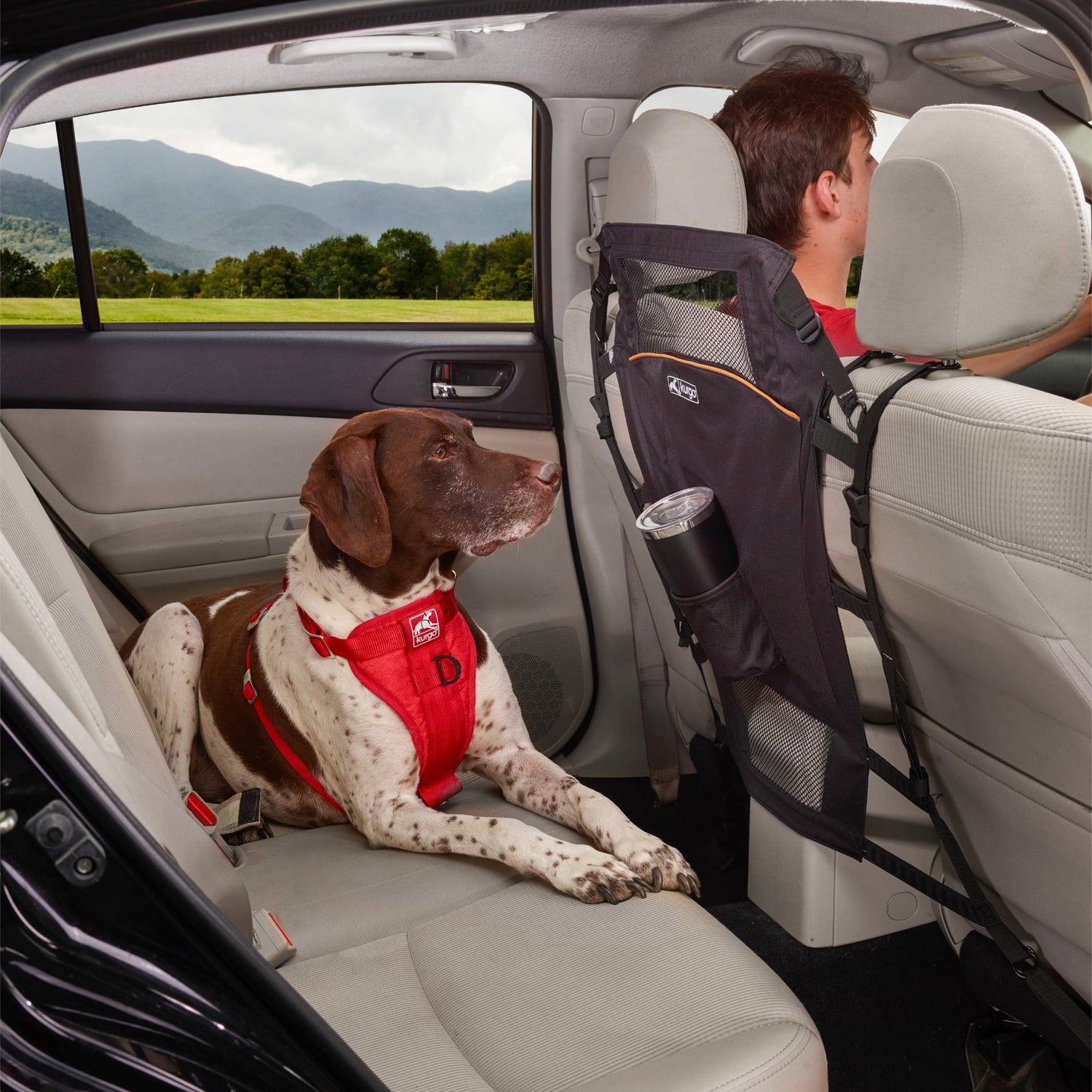 Kurgo Backseat Barrier, Hunde Autorücksitz Abtrennung - Woofshack