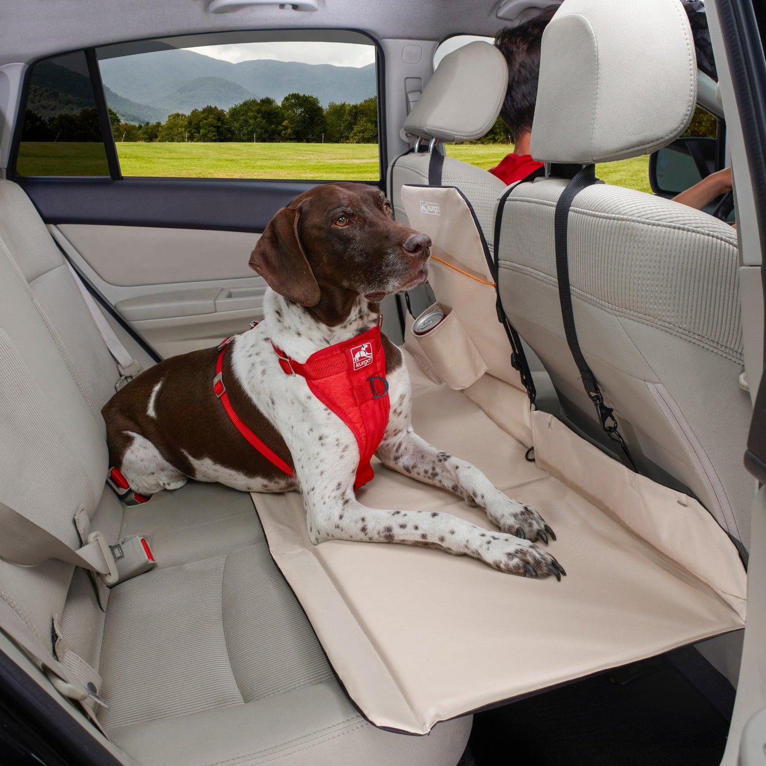 Kurgo Backseat Bridge, pont arrière pour chien