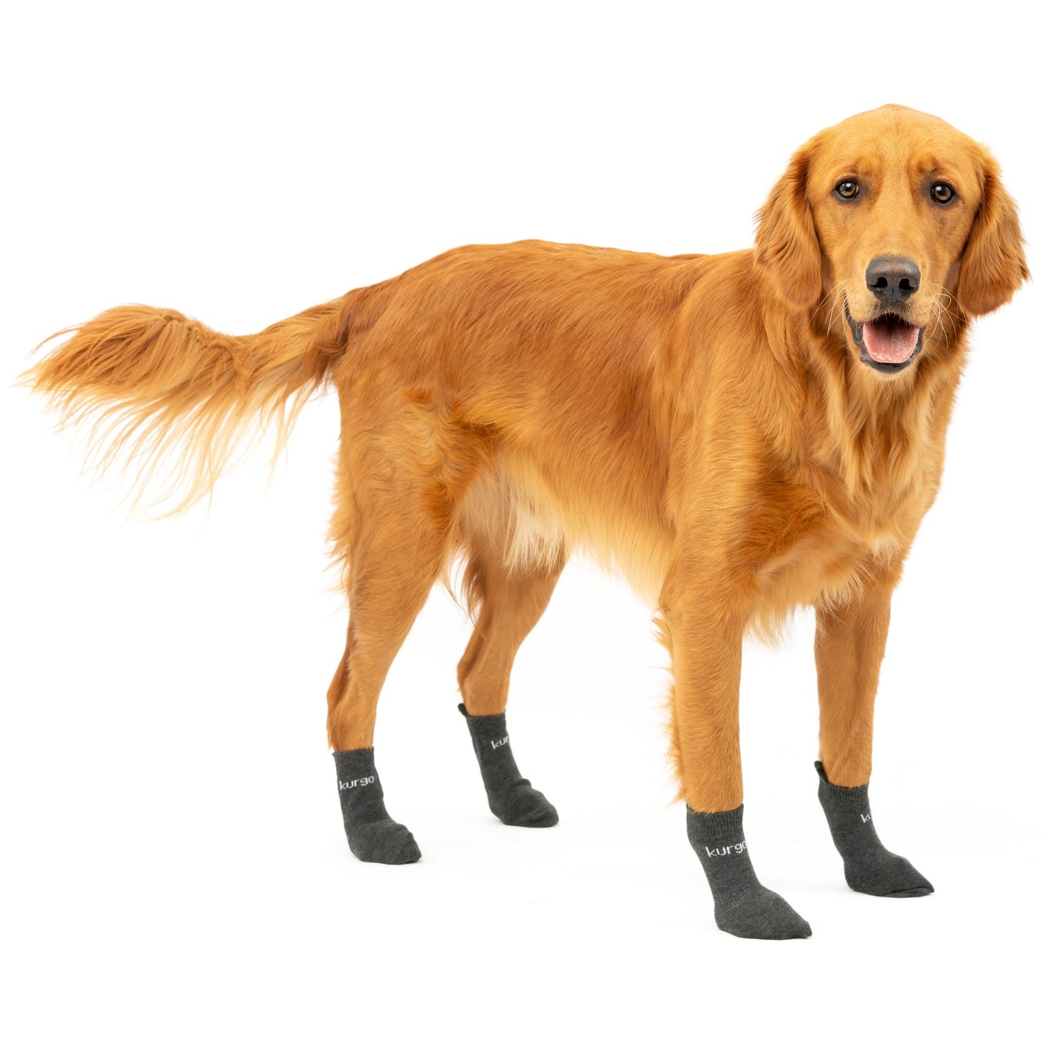 Kurgo Blaze Cross Socks, Hundesocken - Woofshack