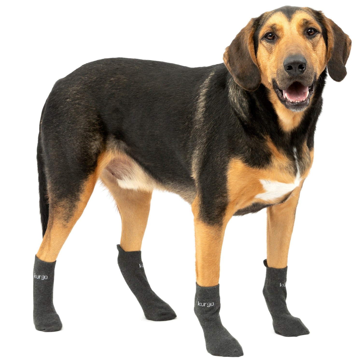 Kurgo Blaze Cross Socks, calcetines para perros