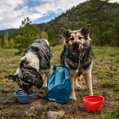 Kurgo Collaps A Bowl, Hundenapf - Woofshack