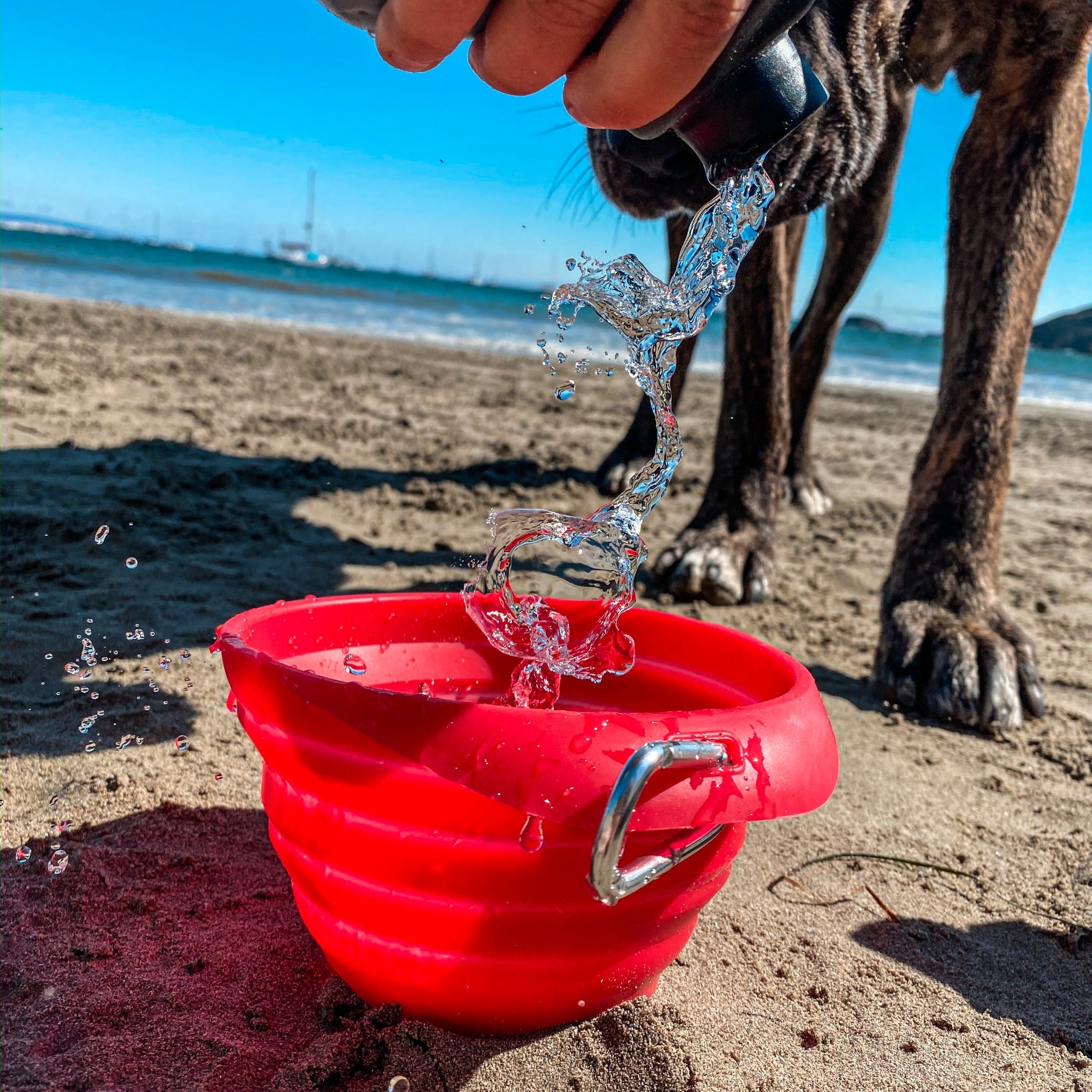 Kurgo Collaps A Bowl, Hundenapf - Woofshack