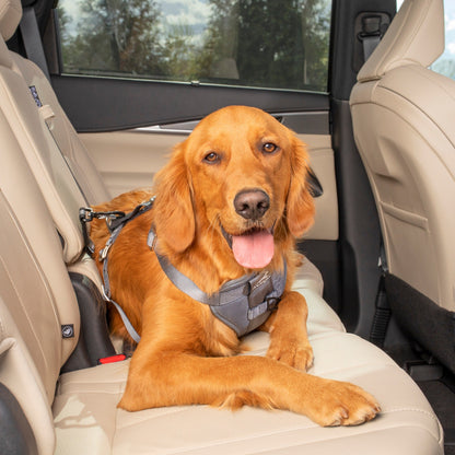 Kurgo Direct to Latch Swivel Tether, Dog Car Seat Belt