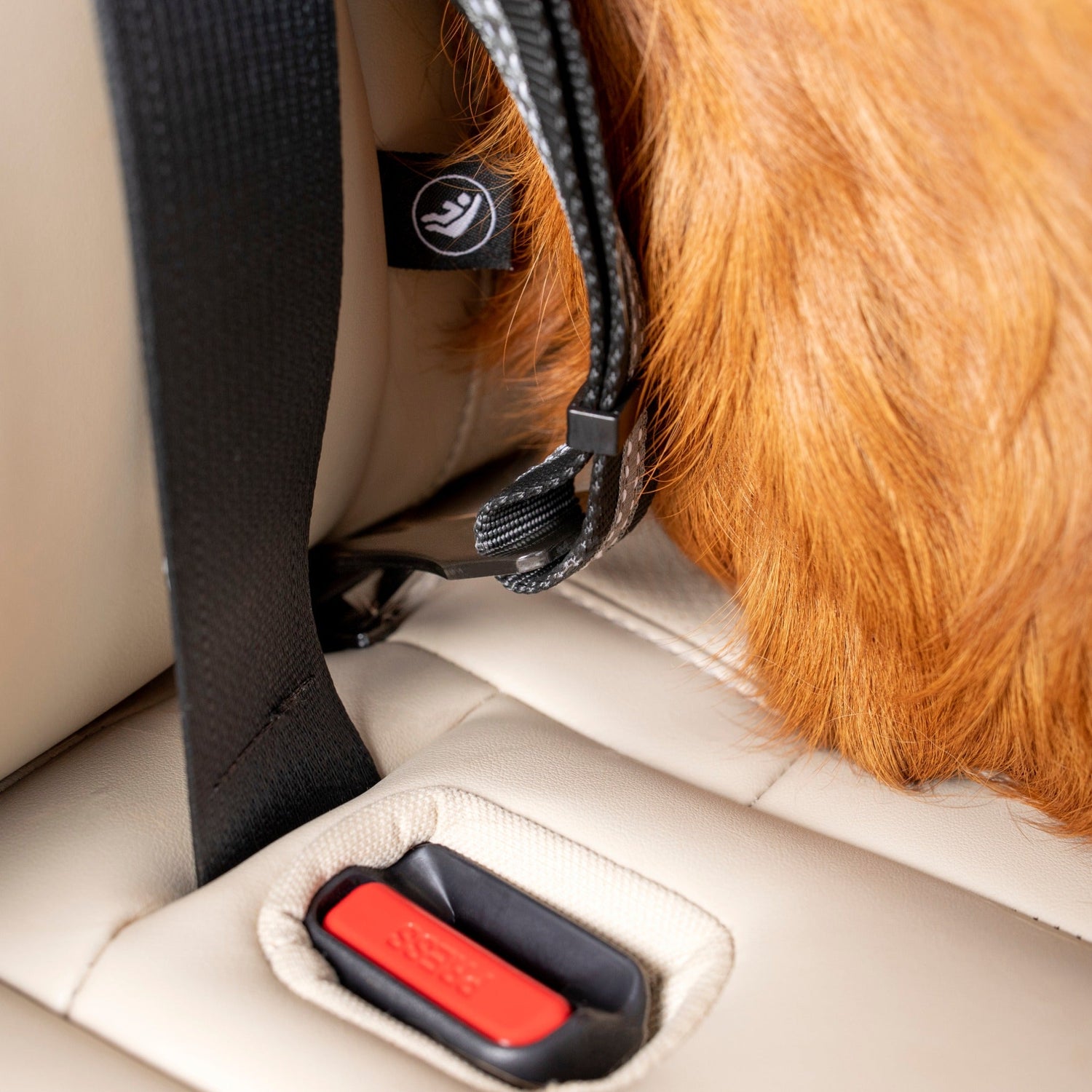 Kurgo Direct to Latch Swivel Tether, Hundeautogurt - Woofshack