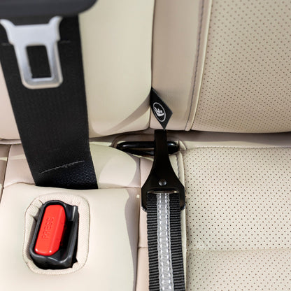 Kurgo Direct to Seatbelt Swivel Tether Autogurt Gurtverlängerung