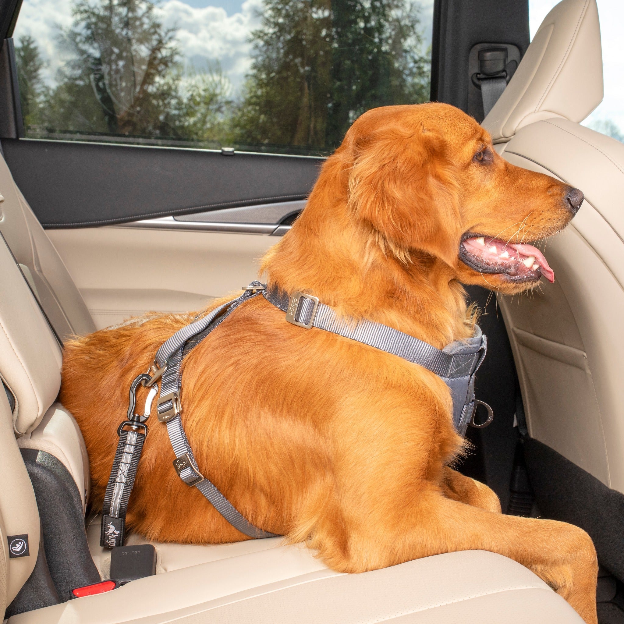 Kurgo - Attache Sécurité Direct Seat-belt Voiture pour Chien