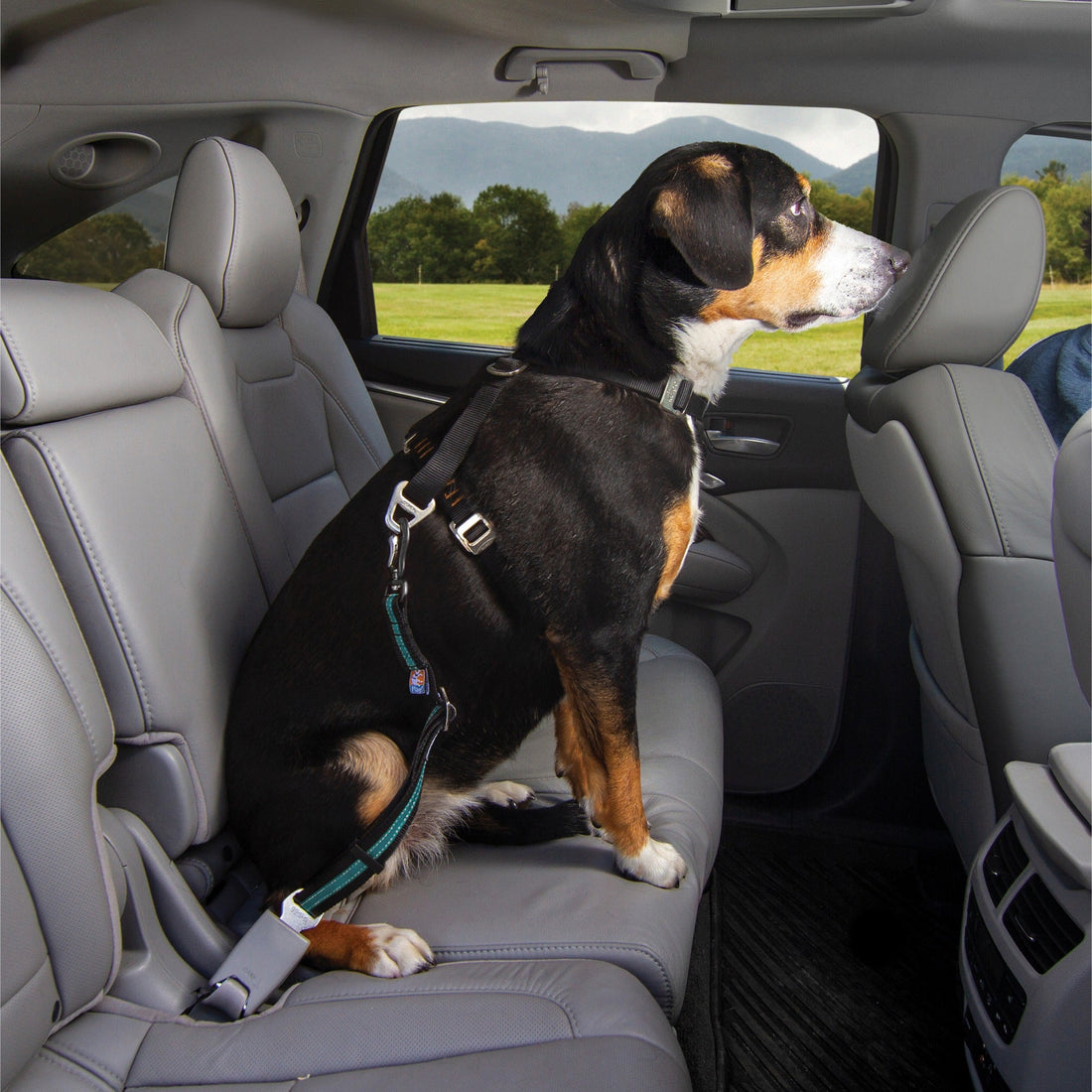 Kurgo Direct to Seatbelt Swivel Tether, Hundeautogurt - Woofshack