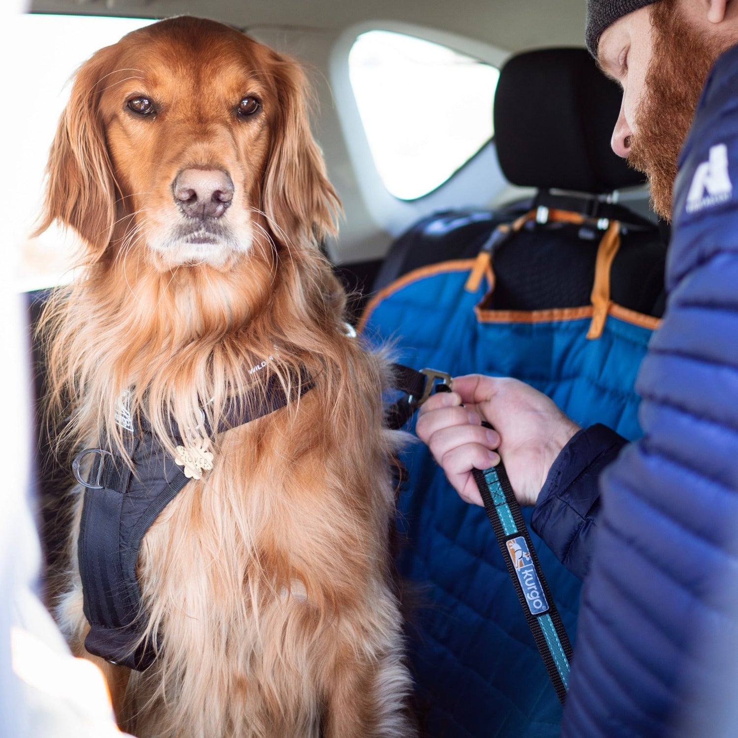 Kurgo Swivel Seatbelt Tether for Dogs, Car Seat Belt for Pets