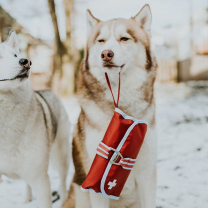 Kurgo Dog First Aid Kit, Hunde-Erste-Hilfe-Set - Woofshack