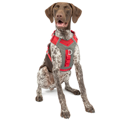 Kurgo Journey Air Harness, harnais pour chien
