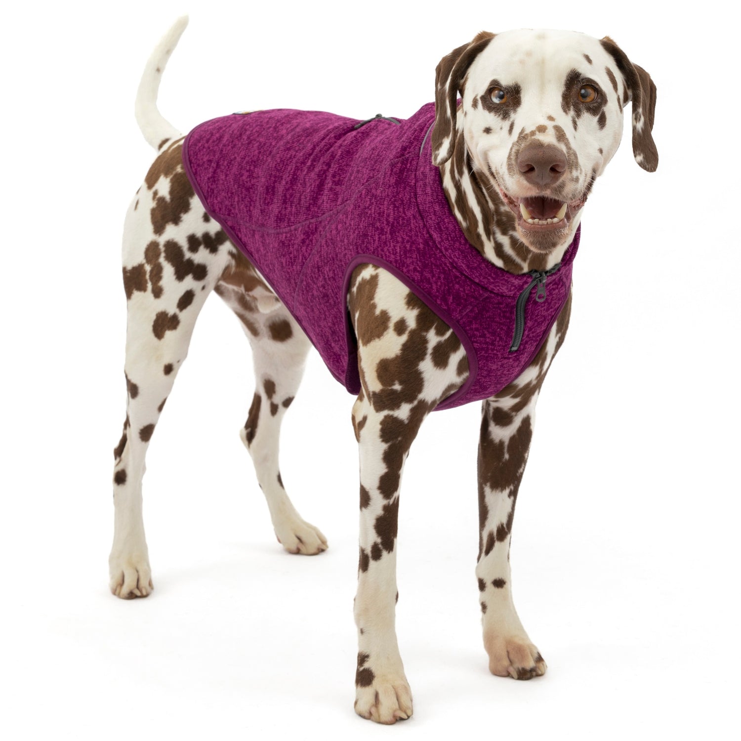 Kurgo K9 Core Sweater, Dog Coat