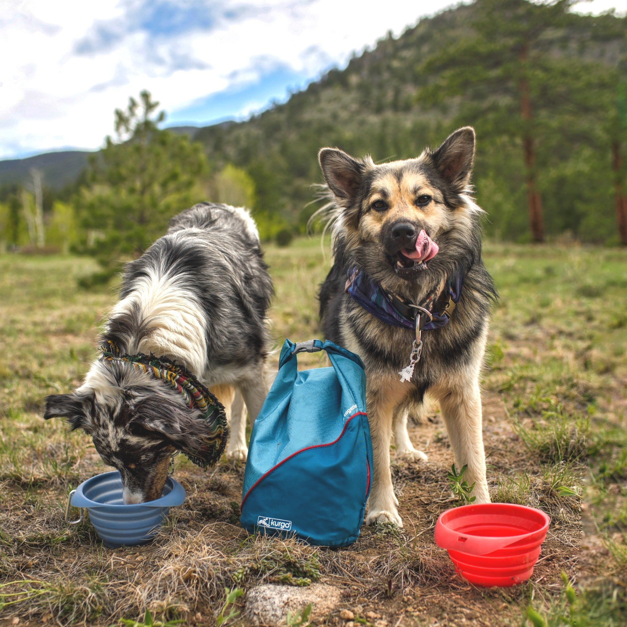 Kurgo Kibble Carrier, Hundefutterbehälter - Woofshack