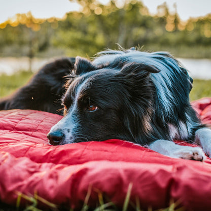 Kurgo Loft Wander Dog Bed, Hundebett - Woofshack