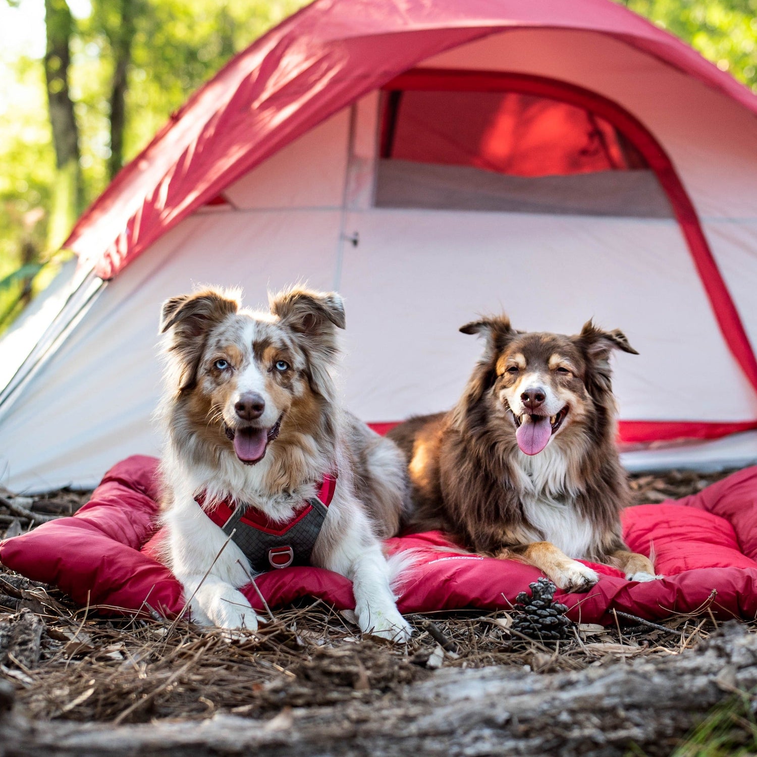 camping hundebett Kurgo Loft Wander Hundebett Wasserdicht