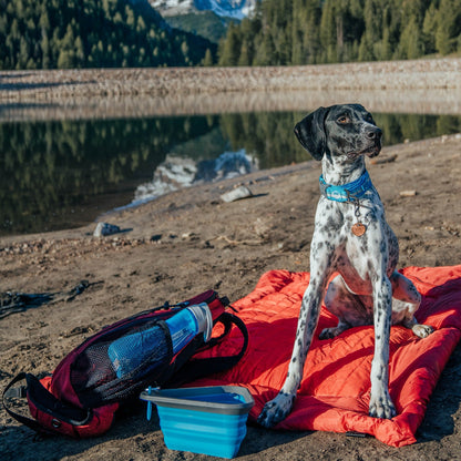 Kurgo Loft Wander Dog Bed, Hundebett - Woofshack