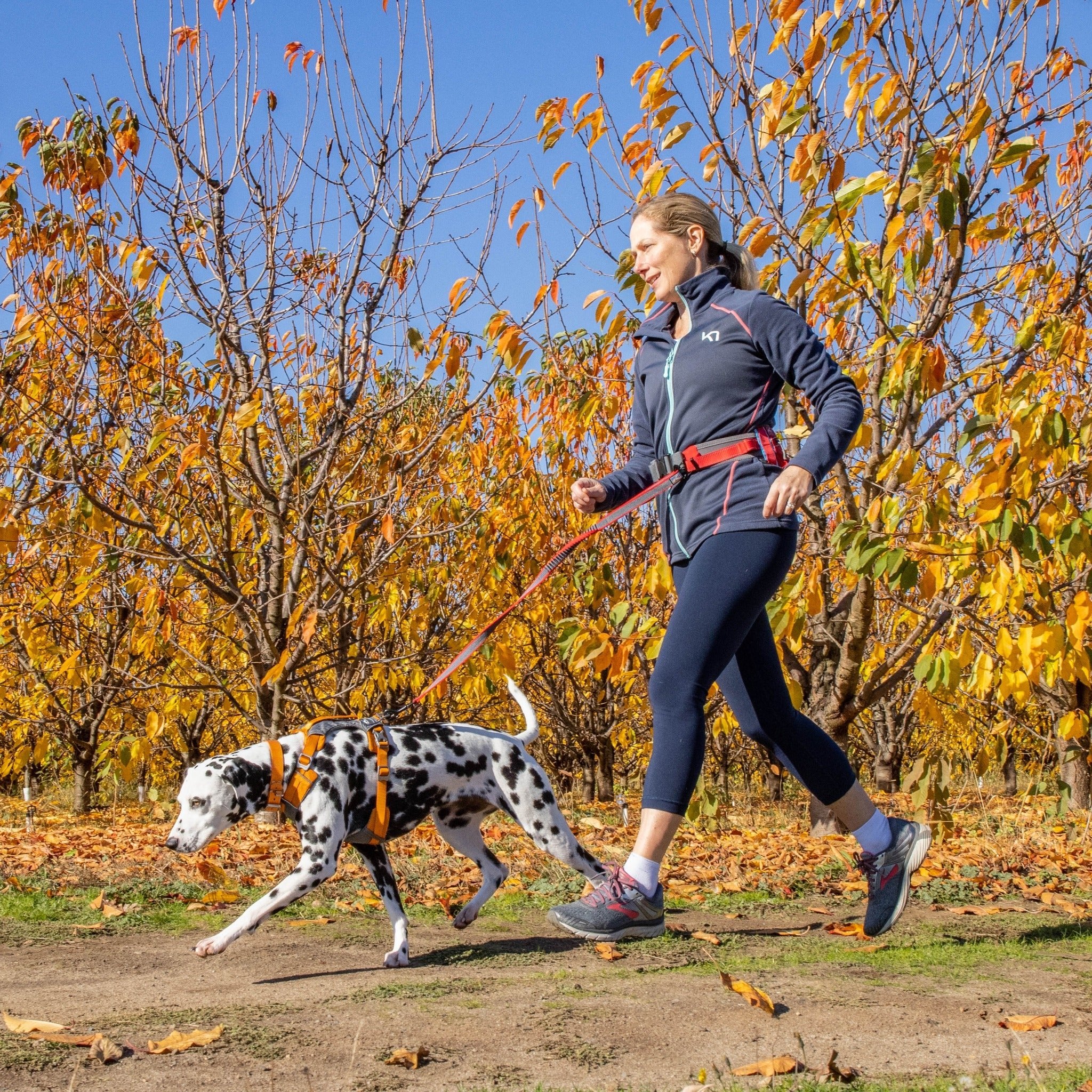 Kurgo On-Trail Running Belt, Laufgürtel - Woofshack