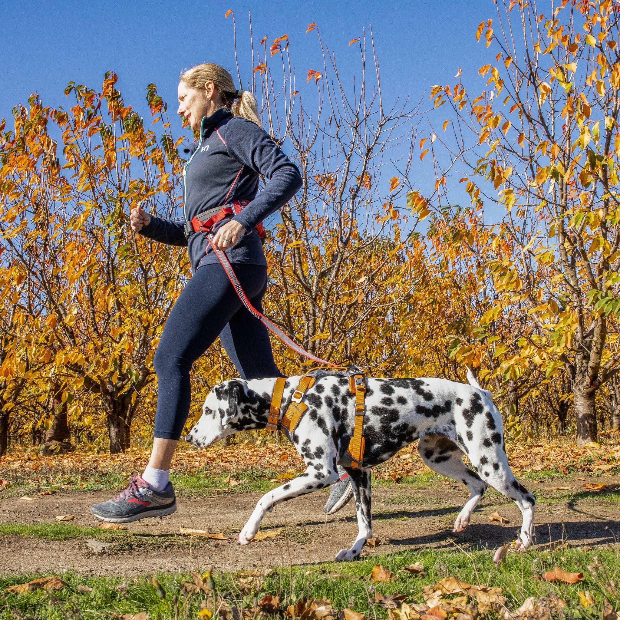 Kurgo On-Trail Running Belt, Laufgürtel - Woofshack